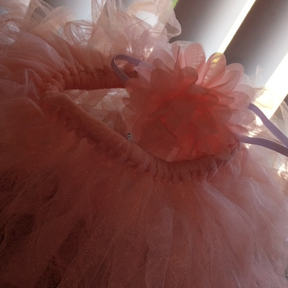 Blush pink tutu